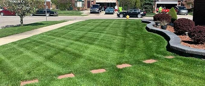 Lesco All-Pro Transition Tall Fescue Grass Seed Blend (50 lbs) – Drought-Tolerant, Heat & Shade Resistant, Insect-Resistant Lawn Seed for Durable Turf - **Non-Returnable**