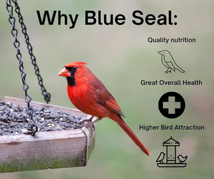 Blue Seal Nature's Choice Wild Bird Seed | High Energy Mix, No Filler | Sunflower and White Safflower Seeds | Attracts Variety of Wild Outside Birds | Shell-Free Mix | Made in USA | 8 Pound Bag