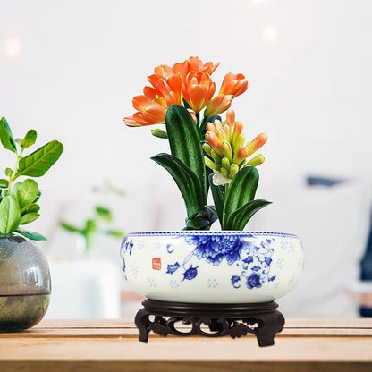 DOITOOL 7 Inch Lotus Bowl Planter Water Lily Pot with Stand Lotus Flower Bowl White Planter Hydroponic Container Bonsai Pots for Indoor Garden Decoration