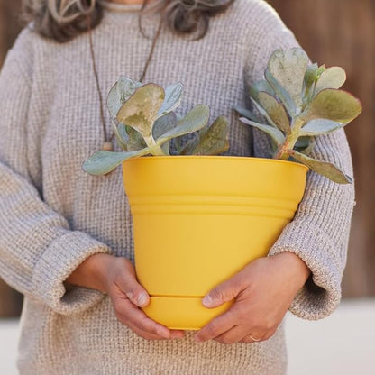 Bloem Saturn Planter w/Saucer (SP1023), Earthy Yellow, 10"