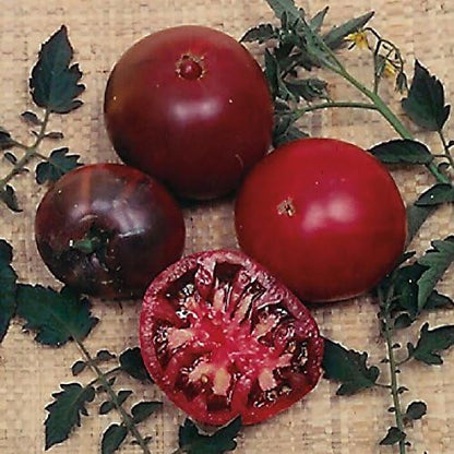 Park Seed Variety of Tomato Seeds, Planting Vegetables, Easy to Grow, Non-GMO, Perfect for Harvesting, Black Krim, Pack of 30