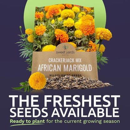 Sweet Yards African Marigold Seeds Mix Crackerjack Mix - Bulk 1 Ounce Packet - Over 10,000 Seeds - Huge Orange and Yellow Blooms - Adaptable to All US Regions - Pollinator Friendly