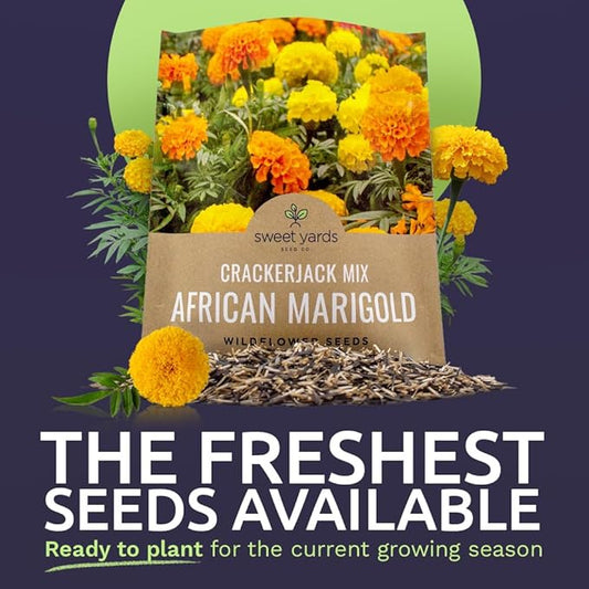 Sweet Yards African Marigold Seeds Mix Crackerjack Mix - Bulk 1 Ounce Packet - Over 10,000 Seeds - Huge Orange and Yellow Blooms - Adaptable to All US Regions - Pollinator Friendly