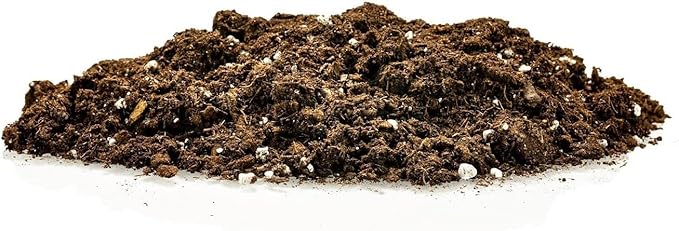 Premium Snake Plant Potting Soil Mix - 3 Quart - All-Natural and Organic - Perfect for Potting and Repotting Your Green Sansevieria Trifascatia Zeylanica Plants