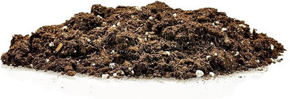 Premium Snake Plant Potting Soil Mix - 1 Quart - All-Natural and Organic - Perfect for Potting and Repotting Your Green Sansevieria Trifascatia Zeylanica Plants