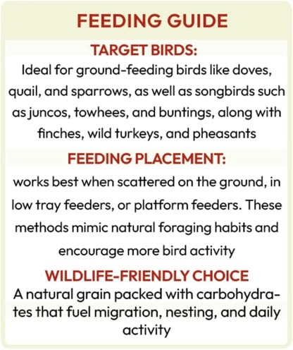 BROWNIE Brand White Proso Millet Bird Feed for Bird Feeder | Premium Wild Bird Food for Sparrows, Finches, and Doves | High-Energy, Non-GMO, All-Season Feed for Feeders (5 Pound)