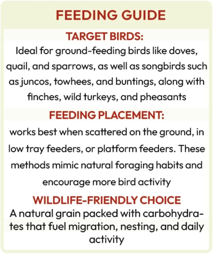 BROWNIE Brand White Proso Millet Bird Feed for Bird Feeder | Premium Wild Bird Food for Sparrows, Finches, and Doves | High-Energy, Non-GMO, All-Season Feed for Feeders (10 Pound)
