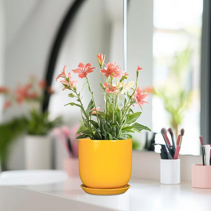 Plant Pot 5 Inch - Modern Round Indoor Ceramic Planter with Drainage Hole and Tray for Succulent Cactus Herbs Plants, Home House Garden Office Decor, Yellow