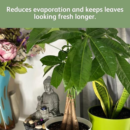 Chrysal LeafShine Spray for Indoor Plants (25oz 6 Pack)