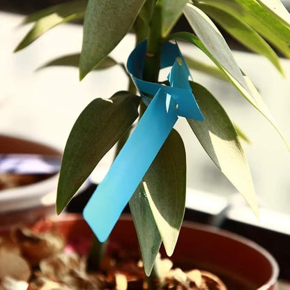 200Pcs Blue Plant Labels Plant Tags Wrap Around Hanging Tags Adjustable Outdoor Nursery Garden Labels Sun-Proof Reusable Tree Markers with 2pcs Waterproof Permanent Marker Pen (200pcs Blue)
