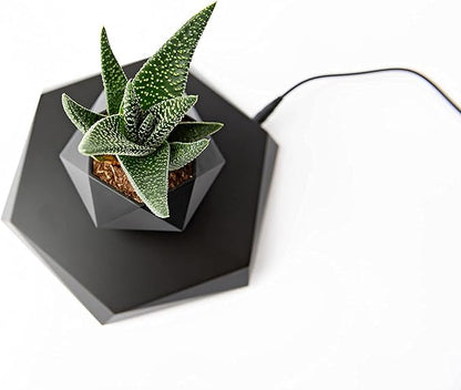 BandDlevs Floating Pots for Plants - Levitating Pot - Levitating Planter for Bonsai, Succulents, Air Plants - Floating Magnetic Display for Home Office Desks - Magnetic Levitation Plant Holder (Black)