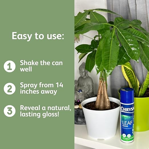 Chrysal LeafShine Spray for Indoor Plants - 5.6 oz (250 ml)