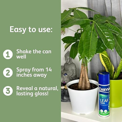 Chrysal Leafshine 5.6 oz (250 ml) Spray for Indoor Plants – Flower Arrangement Spray for Bouquets, House Plants & More – Environmentally Safe Dust Remover & Leaf Cleaner (3 Pack)