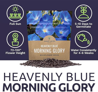 Morning Glory Seeds Heavenly Blue - Large 1 Ounce Packet - Over 1,000 Flower Seeds