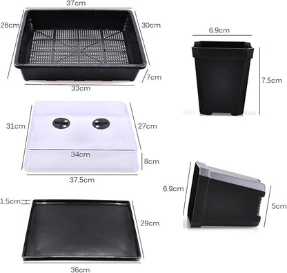 eZAKKA 37x30cm Seed Starter Tray Seed Seedling Starting Kit Plant Germination Kit Humidity Dome with 20 Pieces Square Seed Starter Pots (Black Pots)