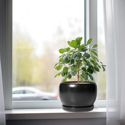 SQOWL Ceramic Plant Pots - 8 Inch Planter Indoor, Round Flower Pot with Drainage Hole and Saucer, Modern Outdoor Planter, Apartment Decor, Gifts for Plant Lovers, Black
