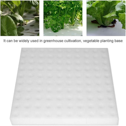 Focket Hydroponic Sponge,100Pcs Hydroponics Soil-Less Culture Cultivation Sponge,Planting Gardening Tool Square Seedling Sponges for Home Garden