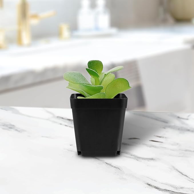 150PCS 4 Inch Square Nursery Plant Pots, Plastic Plant Seedling Pots with Drainage Holes, Black Plant Seedling Pots for Starting Seedlings or Garden Plant