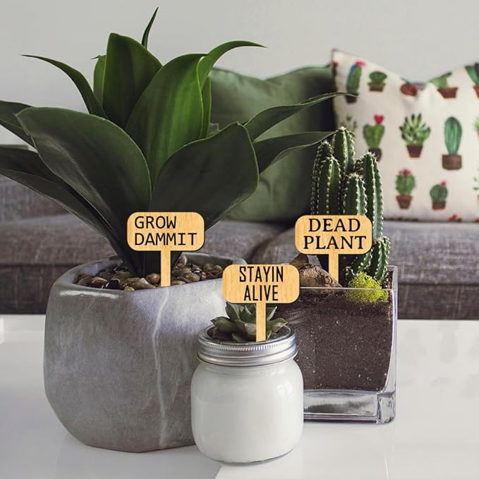 arricraft 15 Pcs Wood T-Type Plant Tags, 1.96x2.75inch/5x7cm Plant Labels with Growing Words Talking Plant Funny Wooden Plant Sign for Garden Markers Nursery Seedling Potted Herb Flower Vegetables