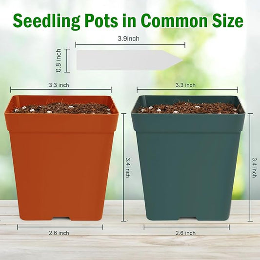 June Fox 100 Pack Green Red Square Nursery Pots with Drainage Holes 3.3 Inches Flexible Plastic Seedling Pots Square Pots for Plants, Succulent, Flower, with Plant Labels