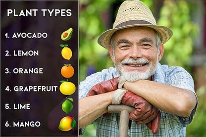 𝐁𝐄𝐒𝐓𝐒𝐄𝐋𝐋𝐄𝐑 6-4-6 Avocado Citrus Tree Plant Food for Outdoor/Indoor Gardening | Quick-Release Nitrogen Fertilizer | Orange, Lime, Avocado and Lemon Tree Fertilizer (2 Quarts)