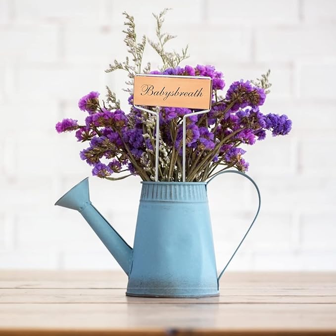 KINGLAKE GARDEN Copper Plant Labels 20 Pack Metal Plant Labels Copper Plant Tags Garden Labels Garden Large Metal Plant Tags Height 6.1" for Outdoor Indoor Plant