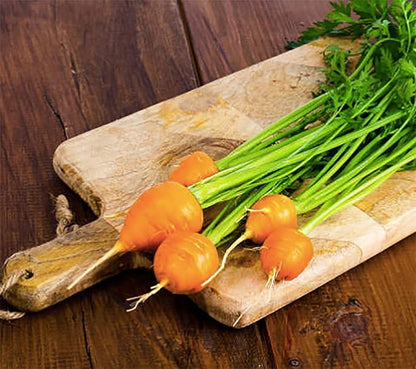 Rainbow Carrot Seeds - A Delicacy Prised by Gourmet Restaurants - 900 Seeds