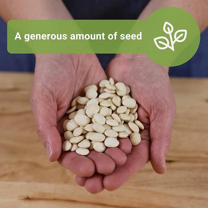 Sow Right Seeds - Bulk Bush Henderson Lima Bean Seeds for Planting - 2 Ounce, 140 Seeds - Non-GMO Heirloom Jumbo Pack with Instructions to Plant an Outdoor Home Vegetable Garden