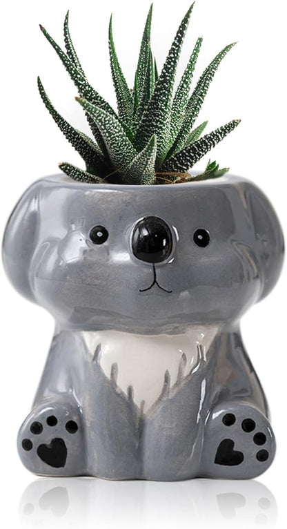 DIYOMR Cute Animals Planter, Mini Ceramic Cartoon Animal Shaped Succulent Flower Pot Indoor Air Plants Holder, Smooth Shiny Decorative Flower Cactus Planter - Plants Not Included (Koala)