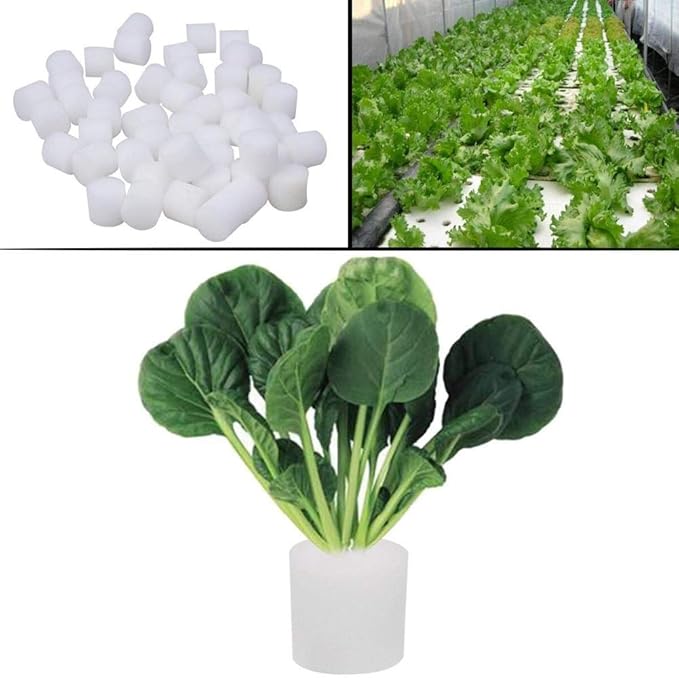 Hydroponic Sponge Planting Soilless Seedling Base Anti-dust Non-toxic Gardening Supplies 50 Pcs