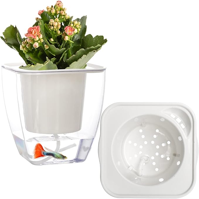Lyellfe 6 Pack Plastic Self Watering Pots, 4 Inch Clear African Violet Pots for Indoor Plants, Automatic-Watering Planter with Drainage, Wick Rope, Windowsill Gardens, Herb, Orchid