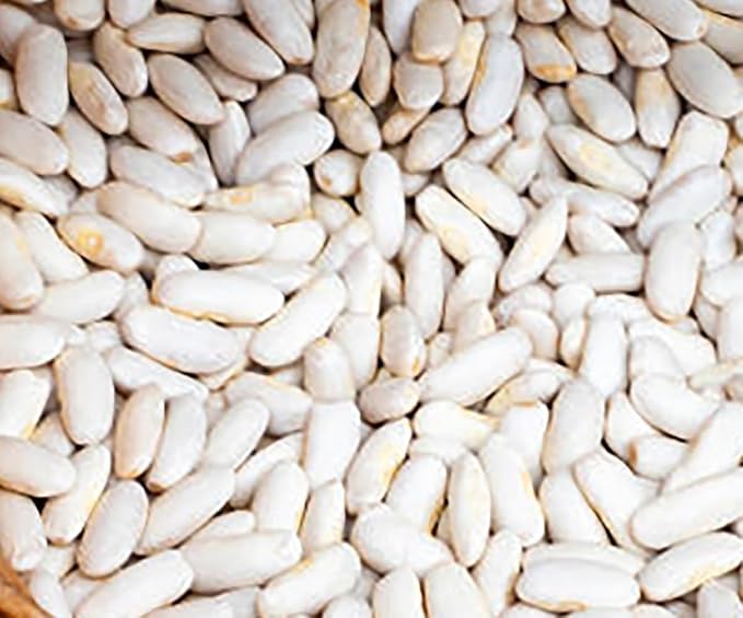 White Great Northern Bean Seeds