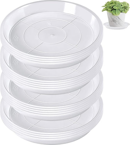 Augshy 18 Pack Plant Suacer 6 Inche Plant Drip Trays for Pots Clear Plant Pot Trays Water-Repellent Plant Saucers for Gardens Balconies and Indoors