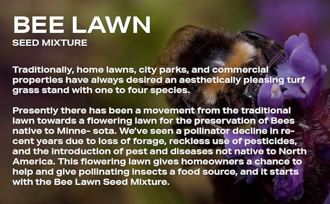 Twin City Seed Co. Bee Lawn Mix, Grass & Flower Mixture, 25 lb Bag