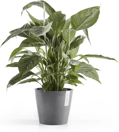 Ecopots Amsterdam Durable Modern Round Indoor/Outdoor Recycled-Based Composite Flower Pot Planter, Grey, 8"