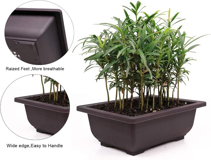 MUZHI 12PACK RetroStyle Plastic Bonsai Training Pots Balcony Indoor Rectangle Square Flower Pots 6"