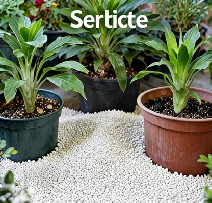 25QT Organic Perlite Horticultural Soil Amendment for Plants and Enhanced Drainage Enhanced