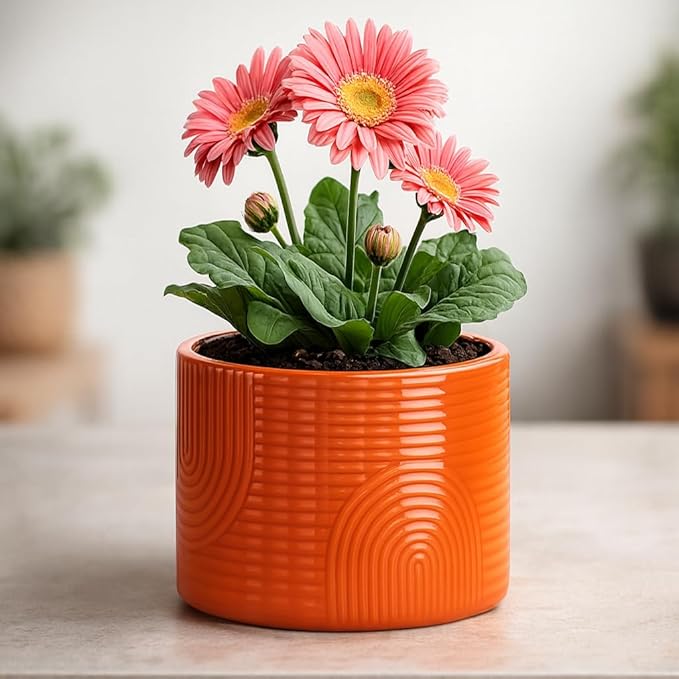 6 Inch Ceramic Plant Pot – Indoor & Outdoor Flower Planter for Succulents, Herbs & Small Plants – Thick-Walled Modern Design – Terracotta
