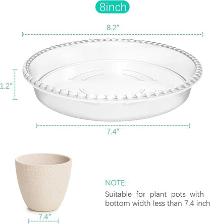6 Pack Clear Plant Saucer 8 inch, Durable Plastic Plant Trays for Indoor, Round Flower Plant Pot Saucer, Sturdy Plant Water Catcher Tray