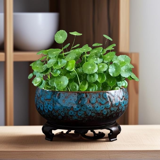 Lotus Bowl Planter, Lotus Bowls for Planting in Water Indoors, Bonsai Bowl Lotus Flower Seeds, Ceramic Planters for Indoor Plants (Blue)