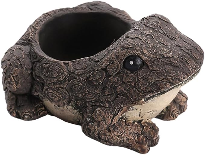 WAIT FLY Animal Cement Flower Pot Succulent Planter-Frog-1 PCS