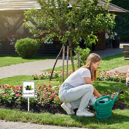 Blackberry Marker Yard Sign with Stakes 8in×12in, Aluminum Yard Signs, Waterproof Plant Marker Reusable Garden Stake Tags with Vegetable Names for Nursery Outdoor Garden