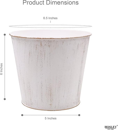 Hosley Set of 2 White Bucket/Pots with PVC Liner, 6.5" Dia x 6" H Ideal Gift for Floral Arrangements Wedding Home Office Party DIY Indoor Outdoor Garden Patio