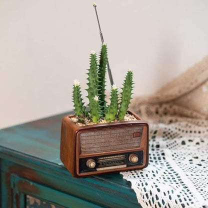 BESTOYARD Retro Creative Radio Shape Flower Pot Retro Flowerpot Succulent Flower Plant Container Desk Flower Pot Cactus Plant Pot