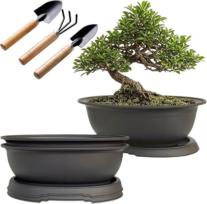 MUZHI 3 Pack Oval Bonsai Pot with Drainage Tray, Matte Finish Plastic Bonsai Growing Planters with Tools for Home Garden Plant Container (9.1" Large)