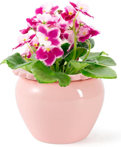 Self Watering Plant Pot 6 Inch African Violet Pots Ceramic Self-Watering Planter for Indoor Plants for Indoor Plants for Plant Enthusiasts Pink High Absorption Herbaceous Flower Pots