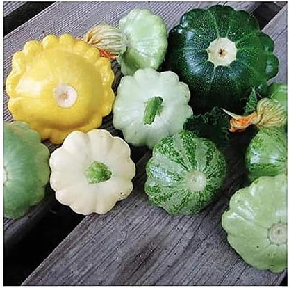 Sweet Dumpling Squash Seeds - Approximately 30 Seeds