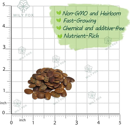 Persimmon Seeds for Planting – 35+ Heirloom Persimmon Tree Seeds for Home Garden, Fruit Tree Seeds for Backyard Orchard