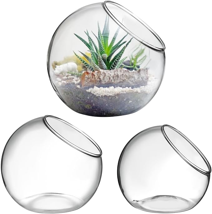 Angoily Glass Succulent Planter 3 Pack Hydroponic Flower Utensils for Indoor Outdoor Use Transparent Glass Terrarium Bowls for Small Plants Air Plant Holder for Home Garden Decor