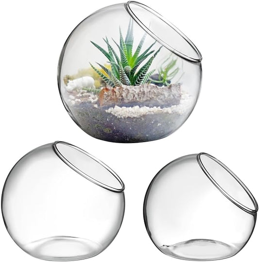 Angoily Glass Succulent Planter 3 Pack Hydroponic Flower Utensils for Indoor Outdoor Use Transparent Glass Terrarium Bowls for Small Plants Air Plant Holder for Home Garden Decor